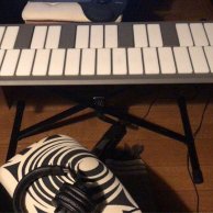 Pearl - MalletStation EM1